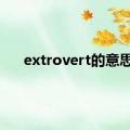 extrovert的意思