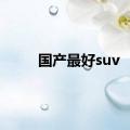 国产最好suv