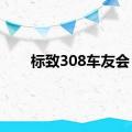 标致308车友会