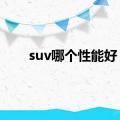 suv哪个性能好