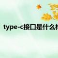 type-c接口是什么样的