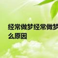 经常做梦经常做梦是什么原因