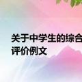 关于中学生的综合素质评价例文