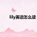 lily英语怎么读