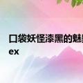 口袋妖怪漆黑的魅影5.0ex