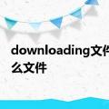 downloading文件是什么文件