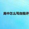 高中怎么写自我评价