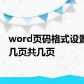 word页码格式设置为第几页共几页