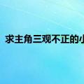 求主角三观不正的小说