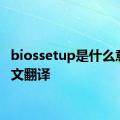 biossetup是什么意思中文翻译