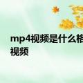 mp4视频是什么格式的视频