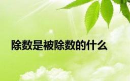 除数是被除数的什么