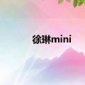 徐琳mini