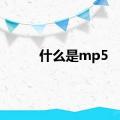 什么是mp5