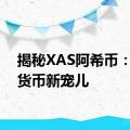 揭秘XAS阿希币：数字货币新宠儿