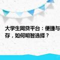 大学生网贷平台：便捷与风险并存，如何明智选择？