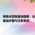 转账未到账查询指南：全面解析查询步骤与注意事项