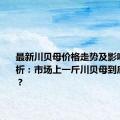 最新川贝母价格走势及影响因素分析：市场上一斤川贝母到底多少钱？