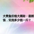 大黄鱼价格大揭秘：最新市场行情，究竟多少钱一斤？