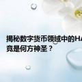 揭秘数字货币领域中的HAT：究竟是何方神圣？